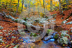 river in autumn mountain canyon