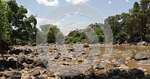 River Awash in Awash National Park, Ethiopia