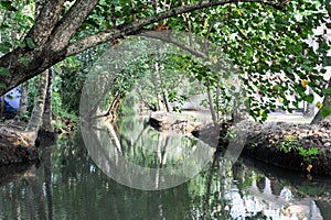 River of the backwaters at Kollam