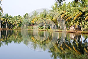 River of the backwaters at Kollam