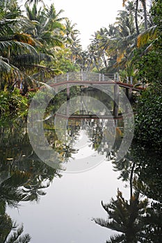 River of the backwaters at Kollam