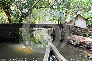 River of the backwaters at Kollam
