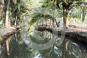 River of the backwaters at Kollam
