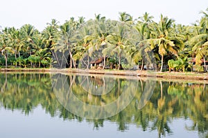 River of the backwaters at Kollam