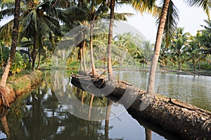 River of the backwaters at Kollam