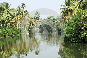 River on the backwaters the way from Kollam to Alleppey photo