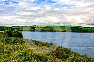 The River Bandon in Ireland, County Cork