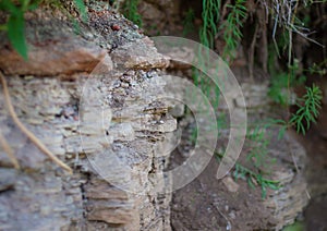 River bank closeup with soil and old crust