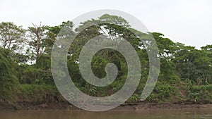 River Bank Erosion and Silting, Casanare, Colombia