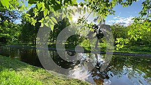 River Bank with green grass, with sloping pine and foliage of other trees