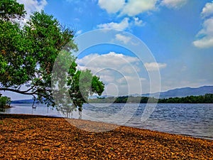 A River Bank with mountains and trees in the background