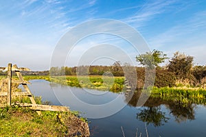 River Bank Scene in a Meadow in Essex