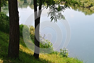 River bank, shore, riverside with trees and green blue water color, green grass coast, nature