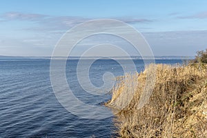 On the river bank in the spring