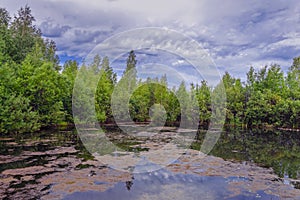 Beautiful autumn trees reflecting on the smooth water surface. Warm autumn day on the river. River bank landscape photo