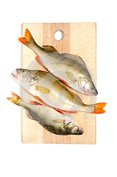 River bass on the cutting Board.Predatory fish on a white background.