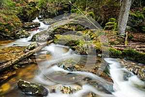 River in the Bavarian Forest