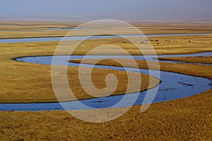 The river in Bayanbulak