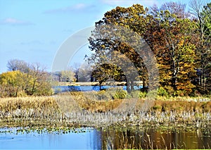 River Bayou in Autumn