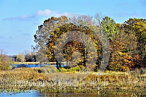 River Bayou in Autumn