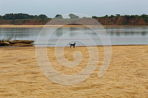 River view an autumn season