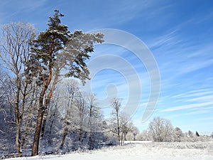 River and beautiful snowy trees, Lithuania