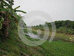 River and beautiful scenery, village scenery