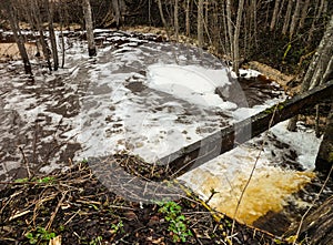 River bed in the forest. Forest landscape in early spring