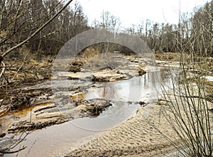 River bed in the forest. Forest landscape in early spring