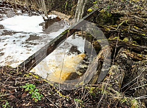 River bed in the forest. Forest landscape in early spring