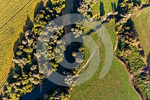 River bed with trees along the banks from the air