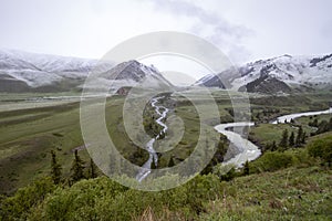 River beds flowing through a green valley with mountains covered with snow on the horizon. Travel Kyrgyzstan