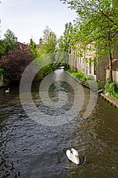River of Begijnhof in Bruges