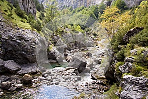 River Bellos in Canyon Anisclo photo