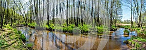 River Biala Przemsza in Bledow Poland