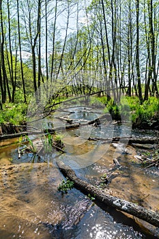 River Biala Przemsza in Bledow Poland