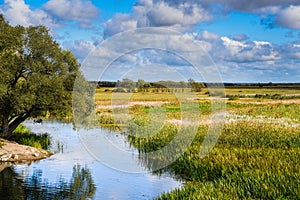 River Biebrza, Podlasie-Poland