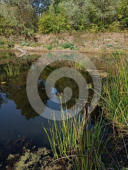 river big cheremshan in Uljanovsk region