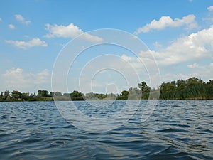 river birds in mase along river delta channels