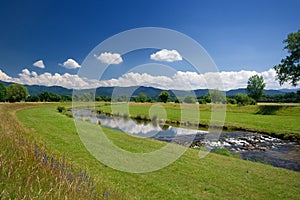 River in black forrest