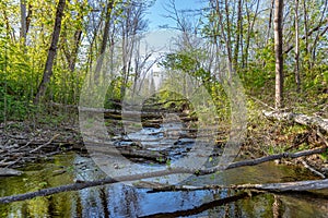 River blocked and drained from water by beavers