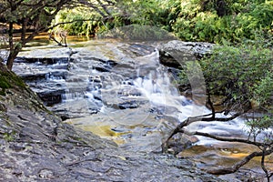River in the Blue Mountains,