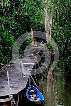 Boat in the jungla