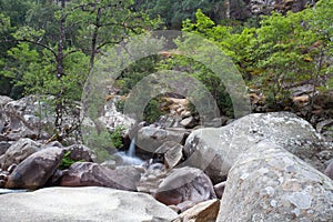 River in Bonifato forest near Calvi Corsica in the Balagne region