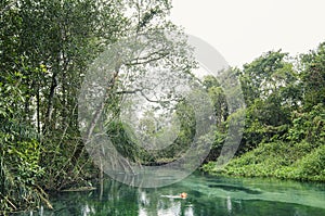 River of Bonito MS, Brazil