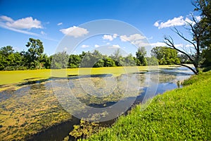 River Bosut in Vinkovci