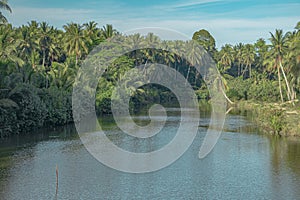 River bounds by vegetation in the rural area of Malaysia.