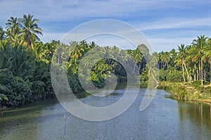 River bounds by vegetation in the rural area of Malaysia.