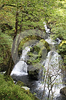 River Brathay, Colwith Force, Little Langdale.