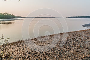 River and breathing roots in Sundarbans, Banglade